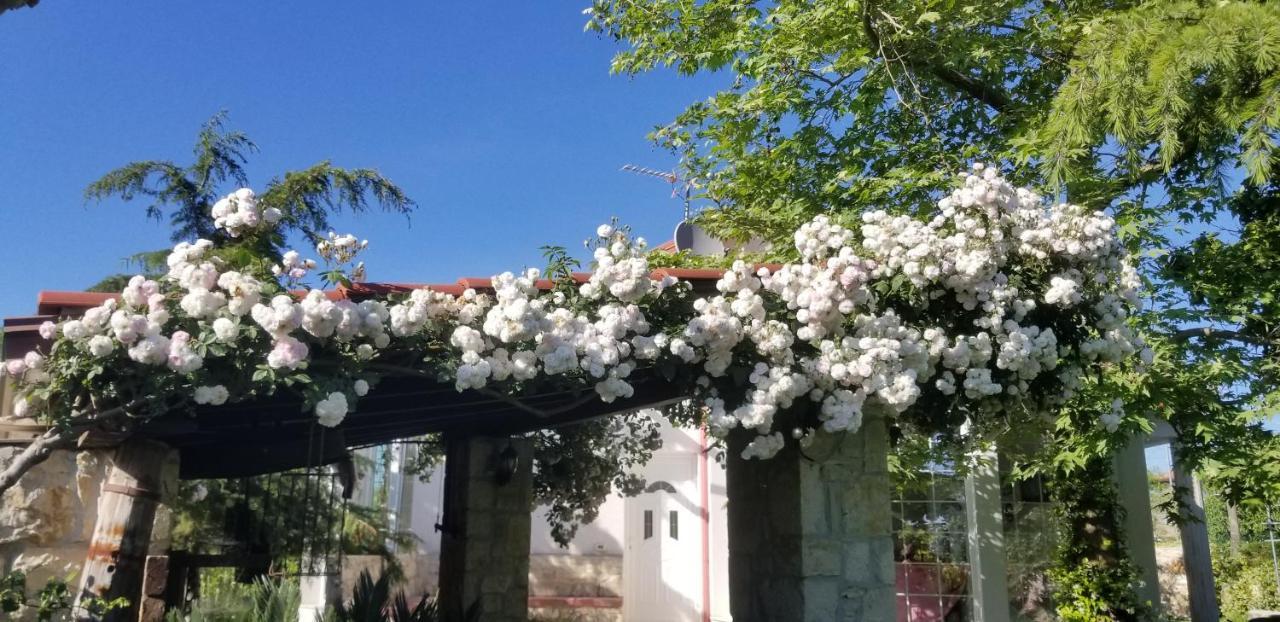 Country House Bubullime Albania Lushnjë Exterior foto