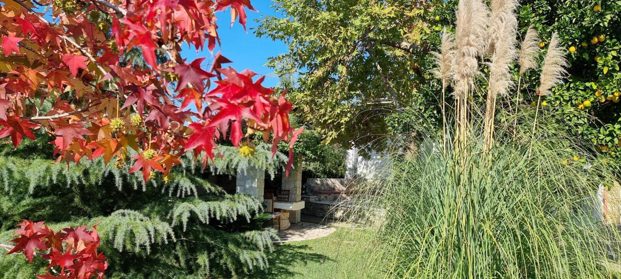Country House Bubullime Albania Lushnjë Exterior foto